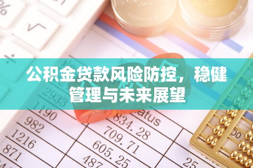 东西湖公积金贷款风险防控，稳健管理与未来展望