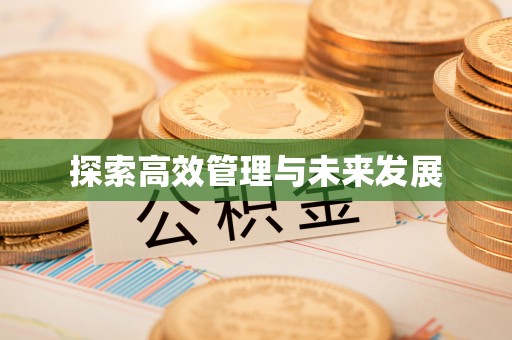 东西湖探索高效管理与未来发展