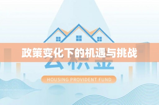 东西湖政策变化下的机遇与挑战