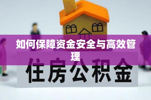 东西湖如何保障资金安全与高效管理