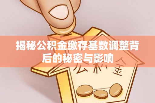 东西湖揭秘公积金缴存基数调整背后的秘密与影响