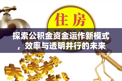 东西湖探索公积金资金运作新模式，效率与透明并行的未来