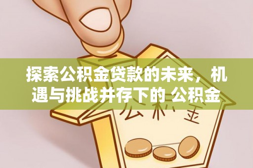 东西湖探索公积金贷款的未来，机遇与挑战并存下的 公积金贷款风险防控