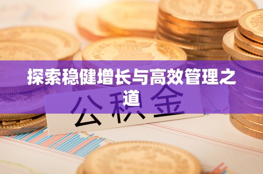 东西湖探索稳健增长与高效管理之道