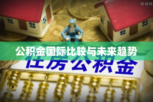 东西湖公积金国际比较与未来趋势