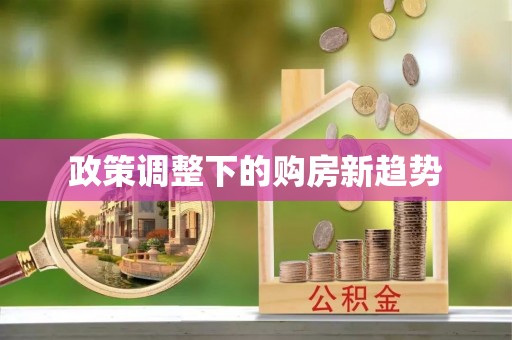 东西湖政策调整下的购房新趋势
