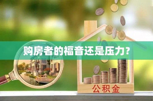 东西湖购房者的福音还是压力？