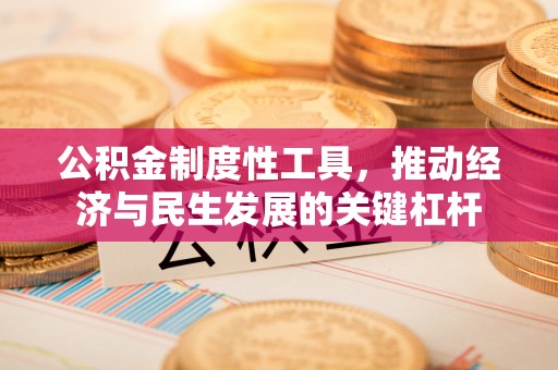 东西湖公积金制度性工具，推动经济与民生发展的关键杠杆