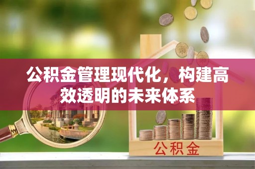 东西湖公积金管理现代化，构建高效透明的未来体系