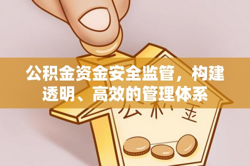 东西湖公积金资金安全监管，构建透明、高效的管理体系