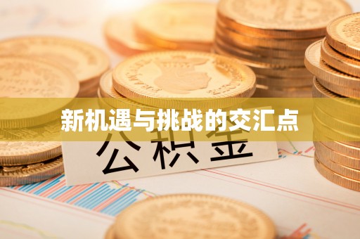 东西湖新机遇与挑战的交汇点