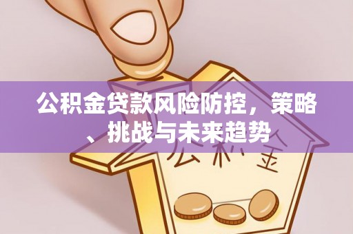 东西湖公积金贷款风险防控，策略、挑战与未来趋势