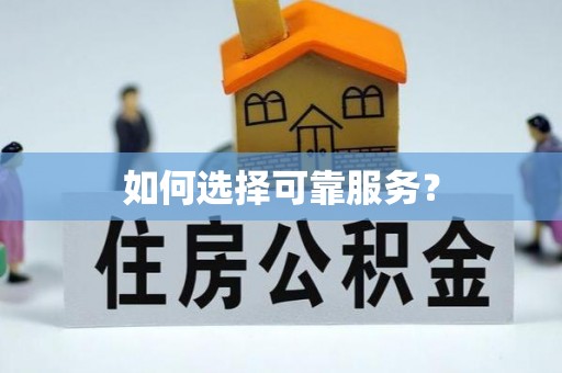 东西湖如何选择可靠服务？
