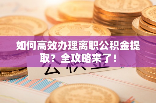 东西湖如何高效办理离职公积金提取？全攻略来了！