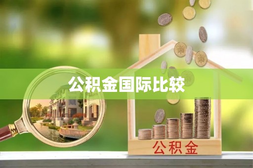 东西湖公积金国际比较