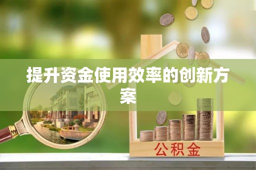 东西湖提升资金使用效率的创新方案