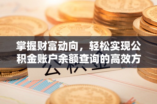 东西湖掌握财富动向，轻松实现公积金账户余额查询的高效方式