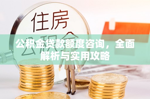 东西湖公积金贷款额度咨询，全面解析与实用攻略