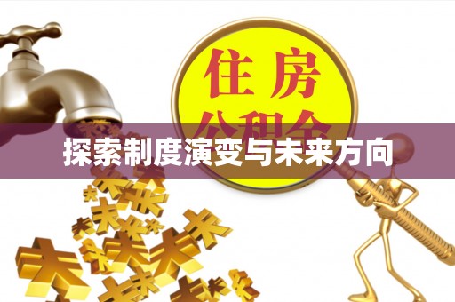 东西湖探索制度演变与未来方向