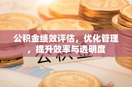 东西湖公积金绩效评估，优化管理，提升效率与透明度