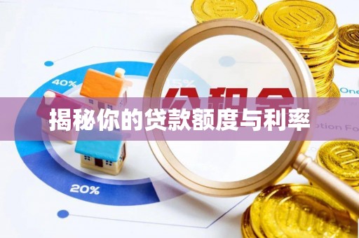 东西湖揭秘你的贷款额度与利率
