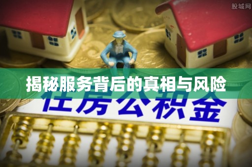 东西湖揭秘服务背后的真相与风险