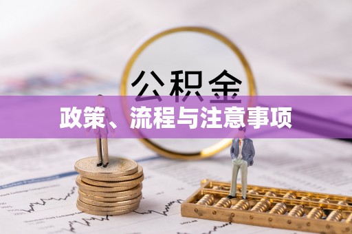 东西湖政策、流程与注意事项