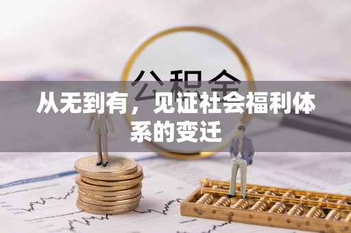 东西湖从无到有，见证社会福利体系的变迁