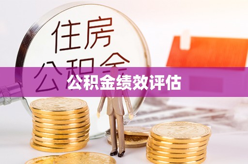 东西湖公积金绩效评估
