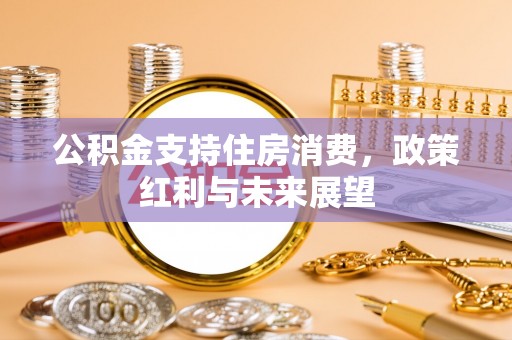 东西湖公积金支持住房消费，政策红利与未来展望