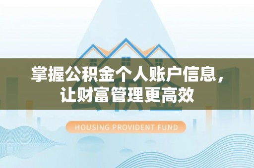 东西湖掌握公积金个人账户信息，让财富管理更高效