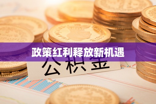 东西湖政策红利释放新机遇