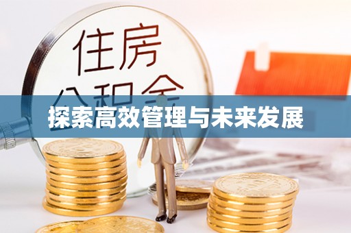 东西湖探索高效管理与未来发展