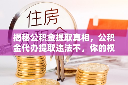 东西湖揭秘公积金提取真相，公积金代办提取违法不，你的权益如何保障？