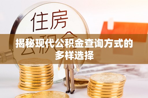 东西湖揭秘现代公积金查询方式的多样选择