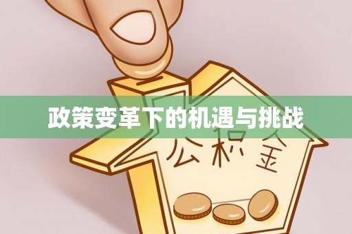 东西湖政策变革下的机遇与挑战