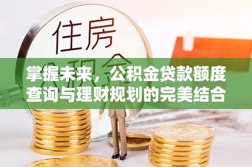 东西湖掌握未来，公积金贷款额度查询与理财规划的完美结合