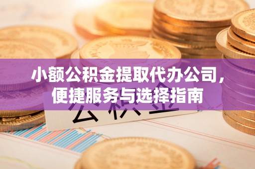 东西湖小额公积金提取代办公司，便捷服务与选择指南