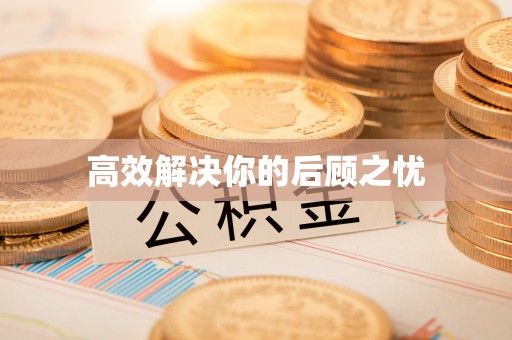 东西湖高效解决你的后顾之忧