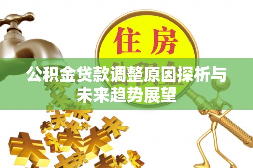 东西湖公积金贷款调整原因探析与未来趋势展望