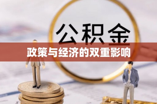 东西湖政策与经济的双重影响