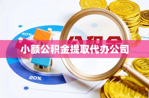 东西湖小额公积金提取代办公司