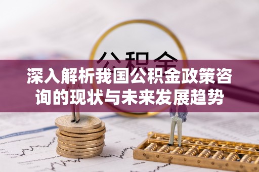 东西湖深入解析我国公积金政策咨询的现状与未来发展趋势
