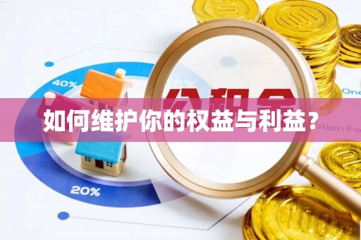 东西湖如何维护你的权益与利益？