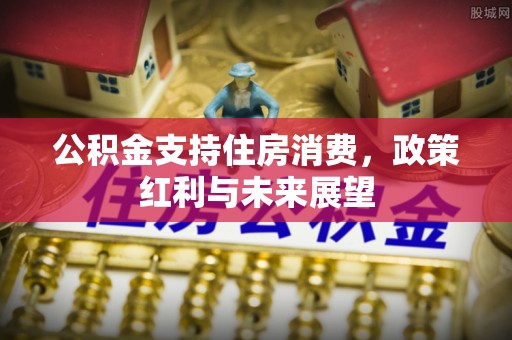 东西湖公积金支持住房消费，政策红利与未来展望