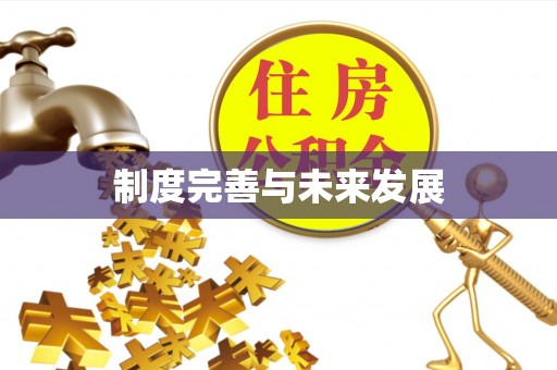 东西湖制度完善与未来发展