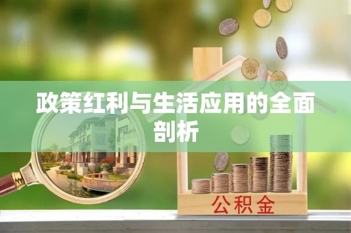 东西湖政策红利与生活应用的全面剖析