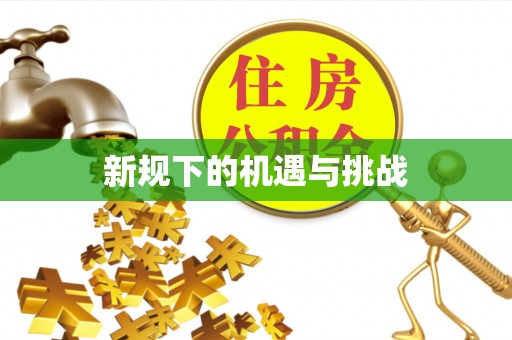 东西湖新规下的机遇与挑战