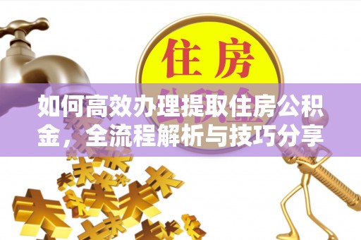 东西湖如何高效办理提取住房公积金，全流程解析与技巧分享