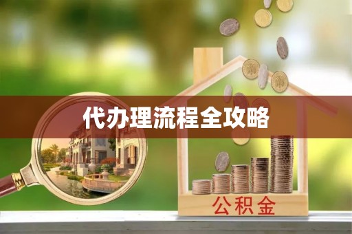 东西湖代办理流程全攻略